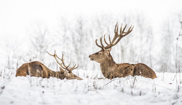 Probier‘s mal! Tiefenentspannt im Wittgensteiner Land