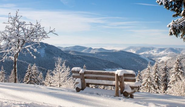 Zum Kuckuck: Urige Wellnesswoche im Schwarzwald