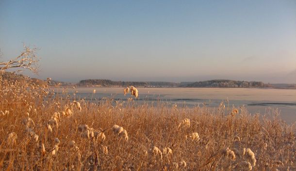 Müritz-Wellness: Tiefenentspannt im Land der 1.000 Seen