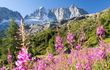 Genuss und Entspannung am Nationalpark "Stilfser Joch"