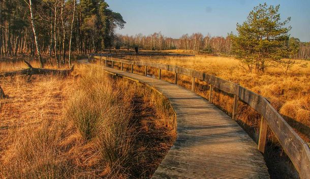 Ihr Wellnessparadies im Wald mit 5.300 qm SPA